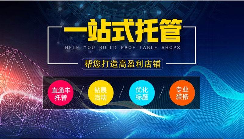 站群程序出售市场现状与展望