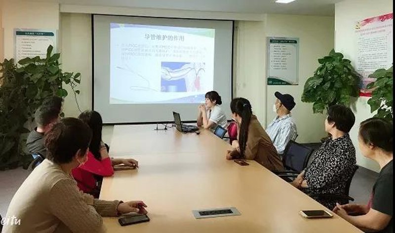 AI全自动养站程序引领内容营销新时代